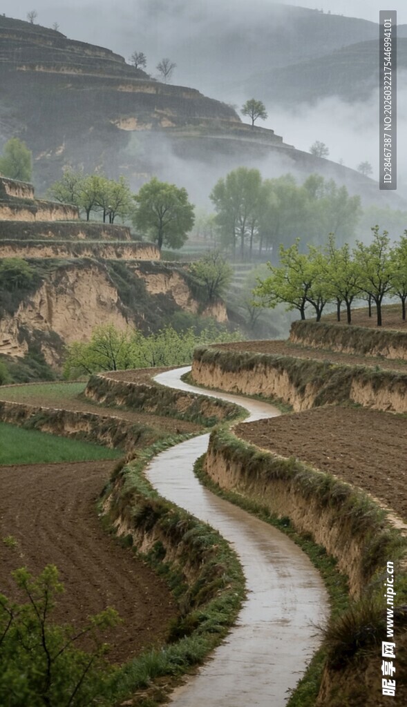 山间蜿蜒小路 田园风光