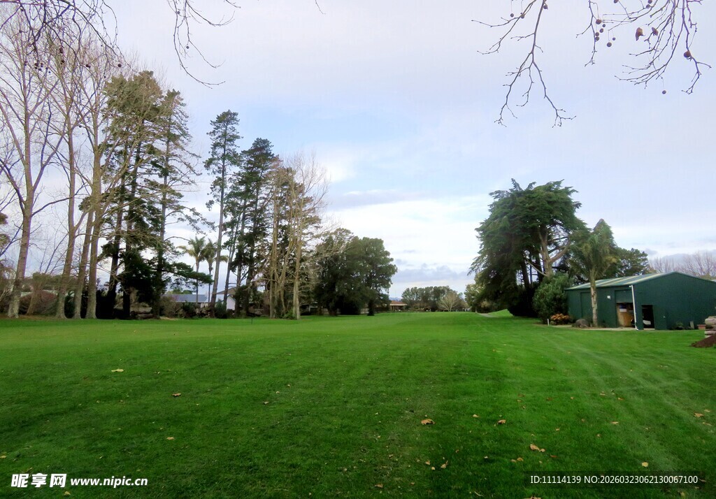 高尔夫球场风景