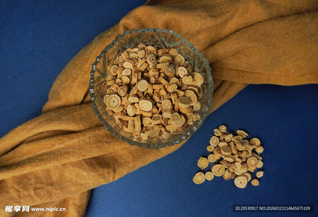 中药材中草药黄芪