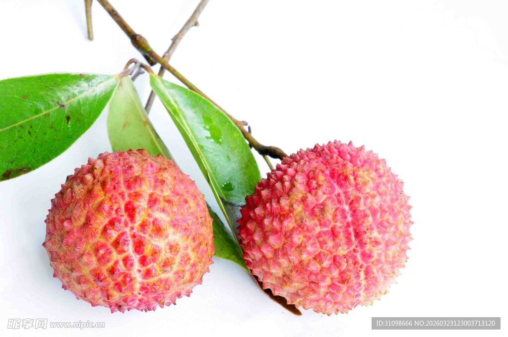 新鲜饱满的两颗荔枝