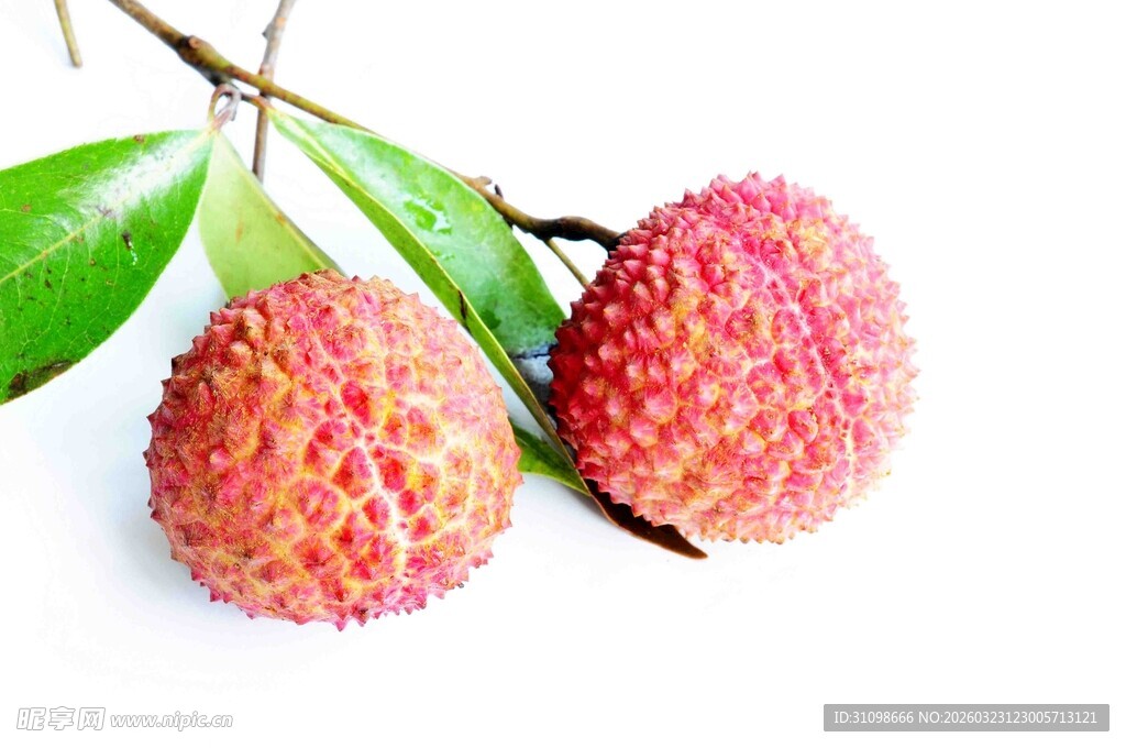 新鲜饱满的荔枝果实