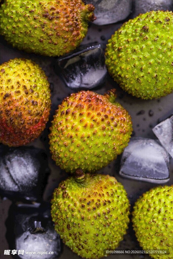 新鲜荔枝置于冰块之上