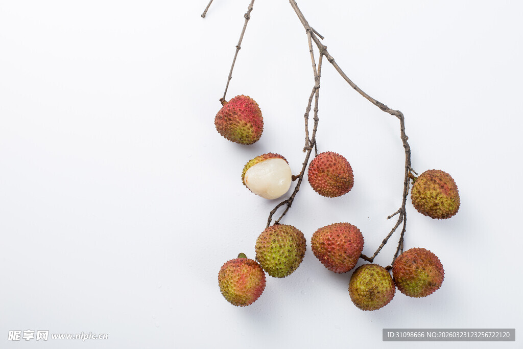 新鲜荔枝枝上挂