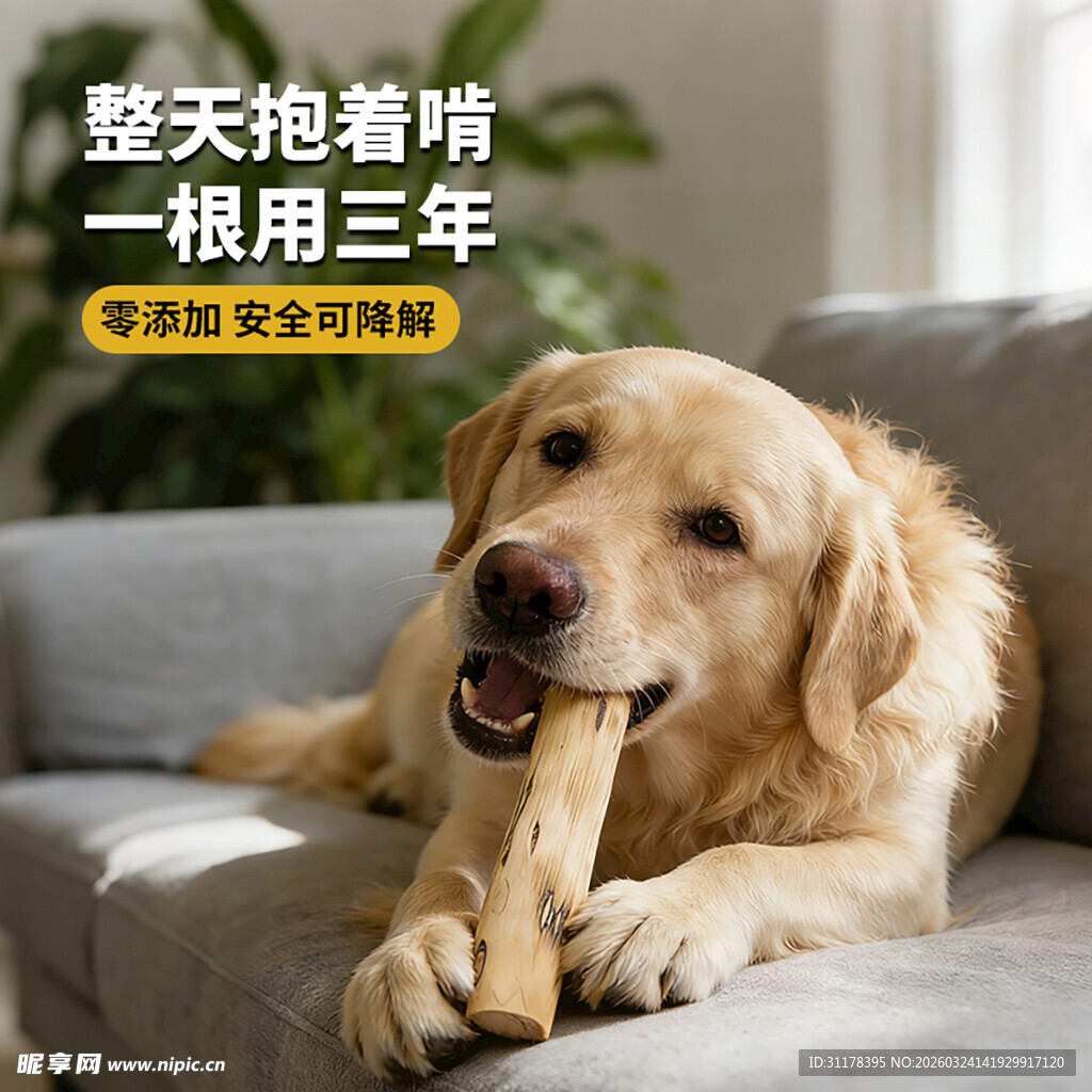 狗狗磨牙棒主图设计