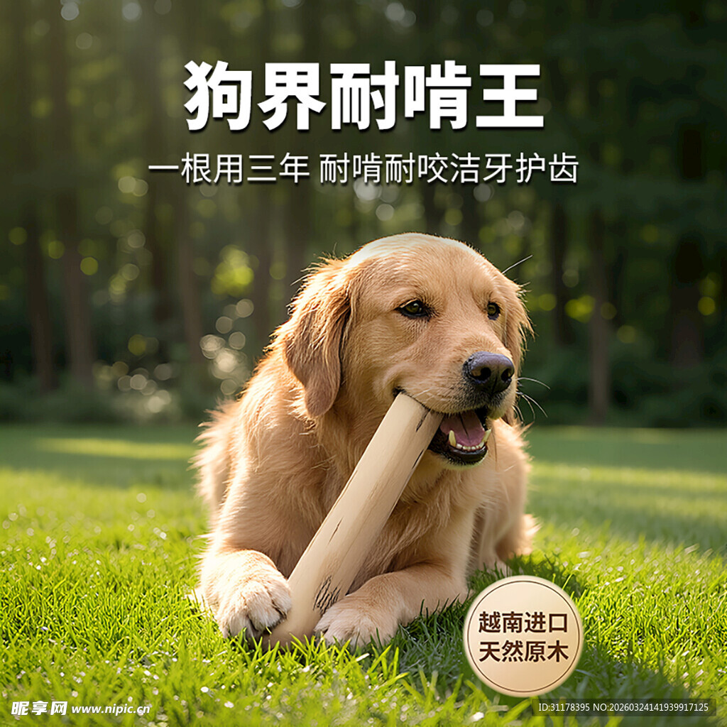 狗狗磨牙棒主图设计