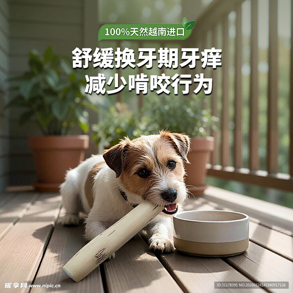 狗狗磨牙棒主图设计