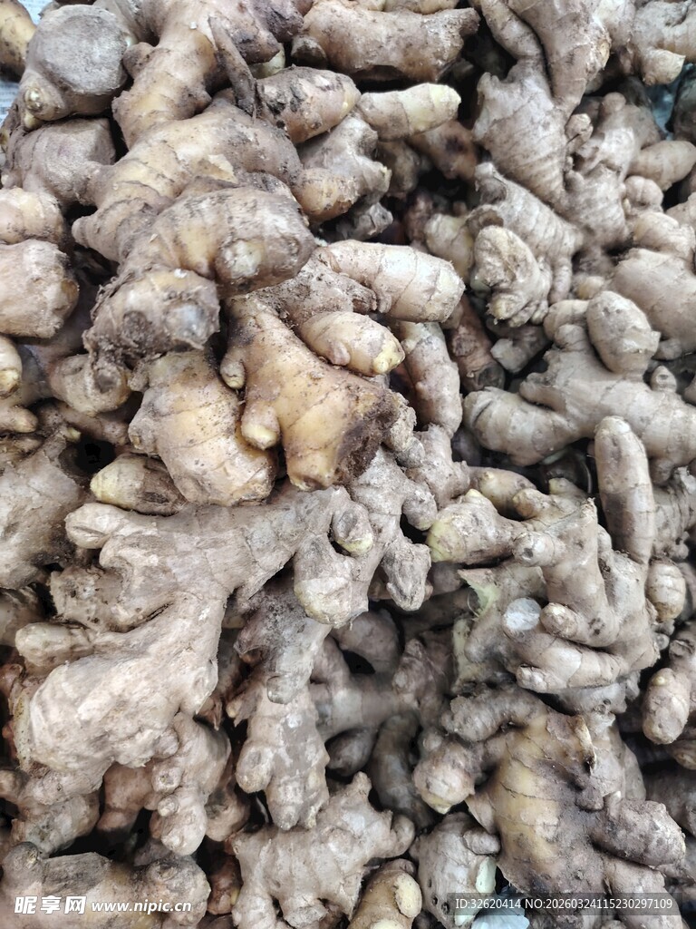 新鲜生姜