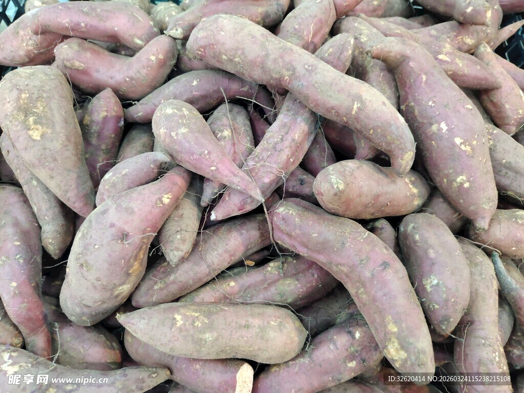新鲜红薯