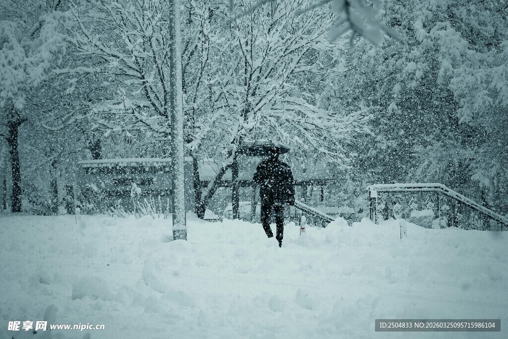 雪中撑伞独行的身影