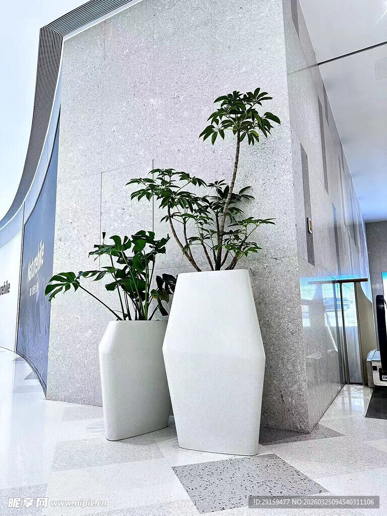 现代大厅中的绿植装饰花瓶