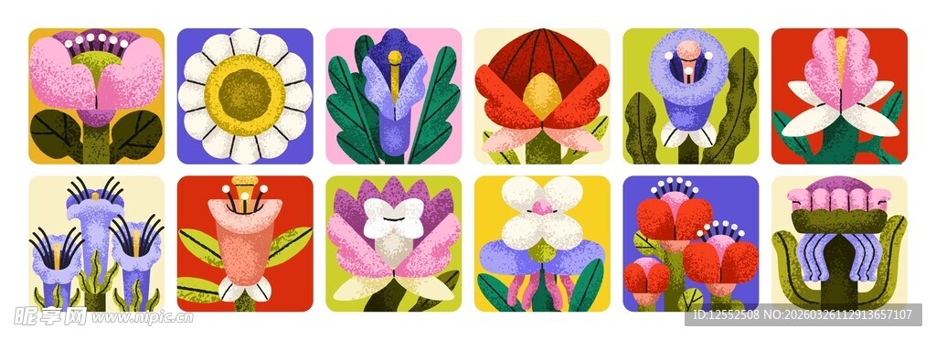 多彩花卉图案集合