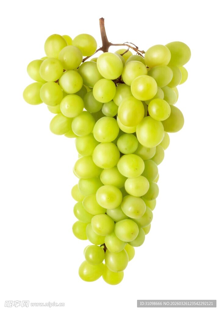 一串鲜绿的葡萄