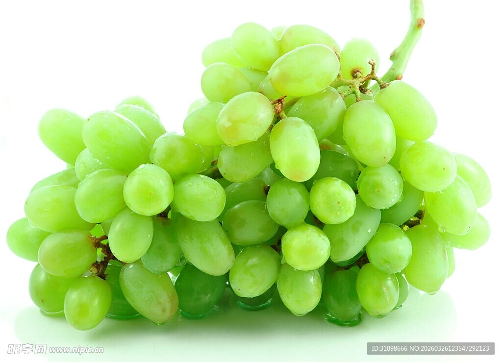 鲜绿葡萄串
