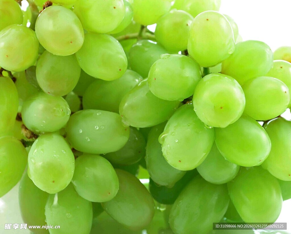 新鲜青葡萄串