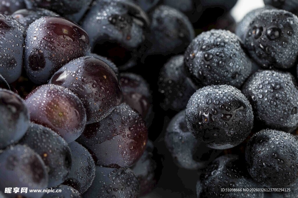 紫黑饱满的新鲜葡萄串