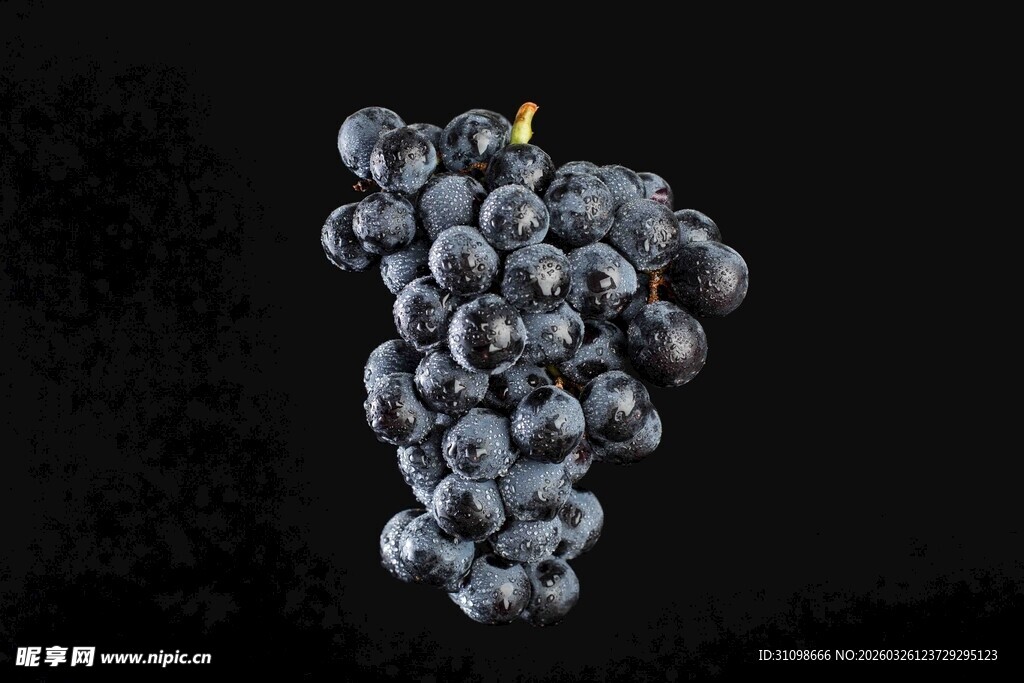 一串紫葡萄特写