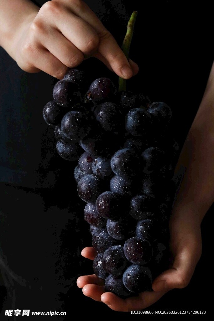 手捧紫葡萄