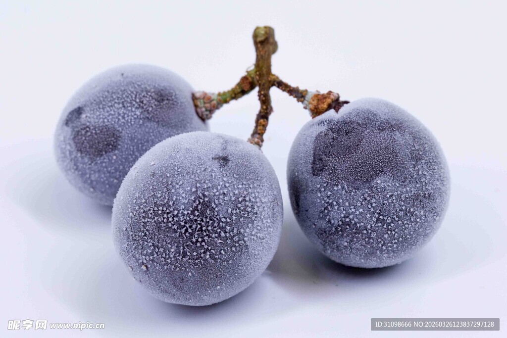 紫葡萄特写