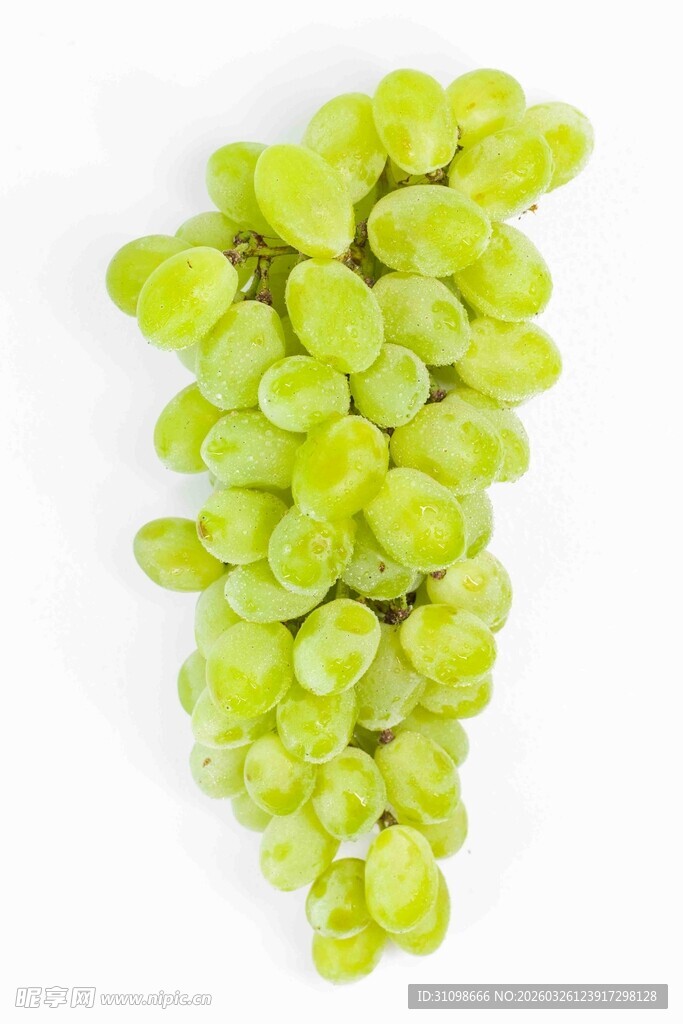 鲜绿葡萄串