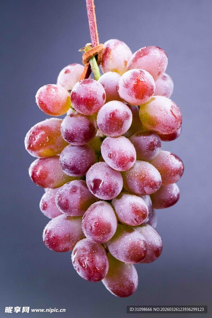 一串色泽诱人的新鲜葡萄