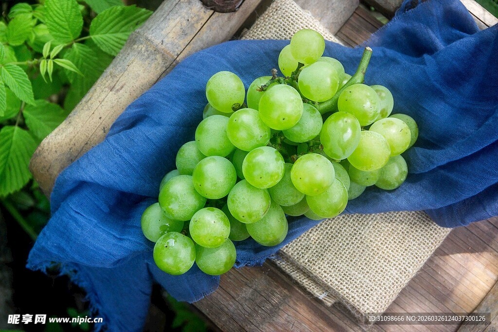 新鲜绿葡萄置于蓝布上