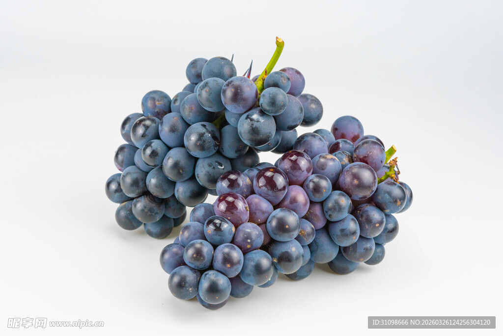 紫葡萄特写