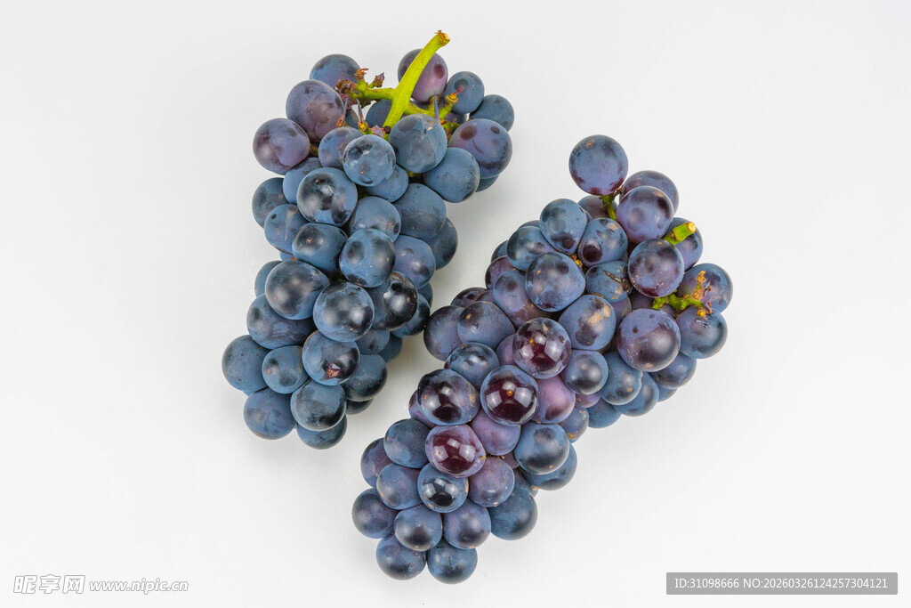 两串紫葡萄特写