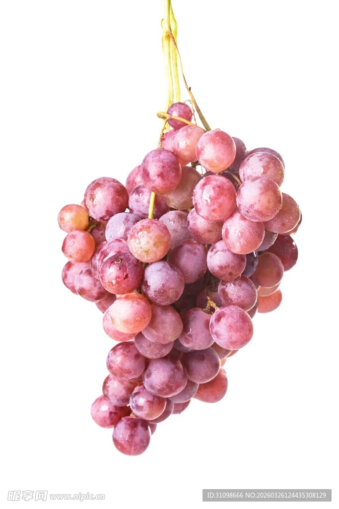 一串诱人的紫红色葡萄