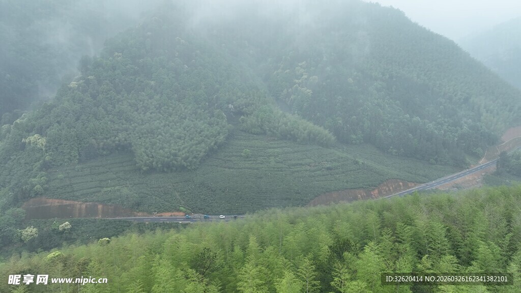 山间云雾缭绕的翠绿景致
