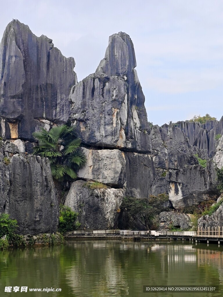 云南石林美景