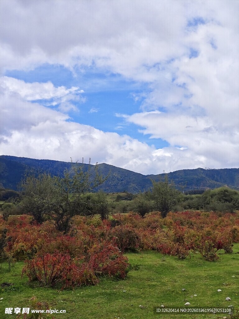 秋日山间绿地美景