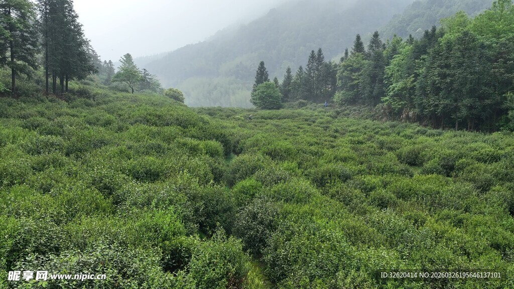 山间清新景致