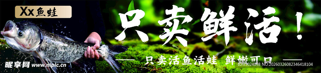 鲜活水产 生态风海报特写海报