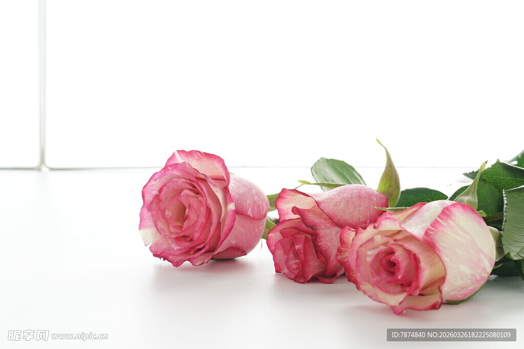 粉色娇艳玫瑰花束