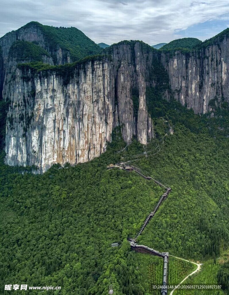 壮丽悬崖下的葱郁山林