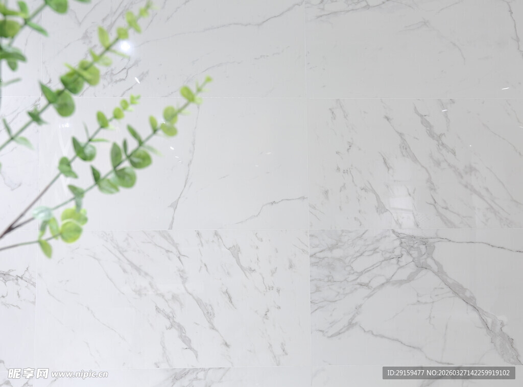 白色大理石上的翠绿枝叶