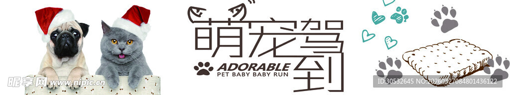 宠物店banner