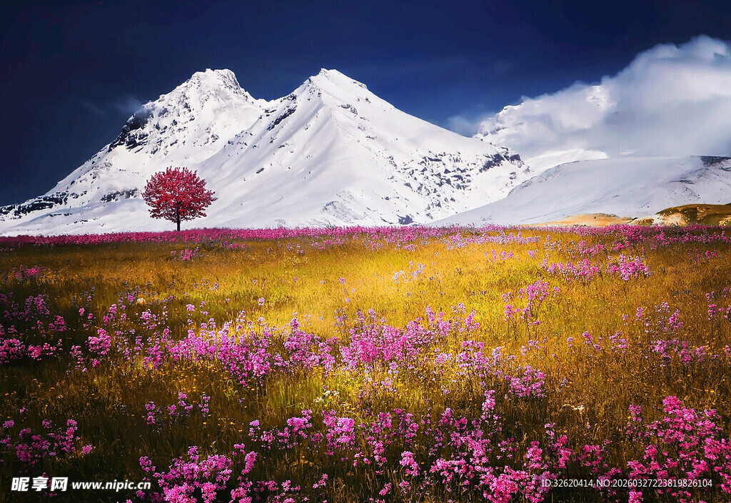 雪山花海
