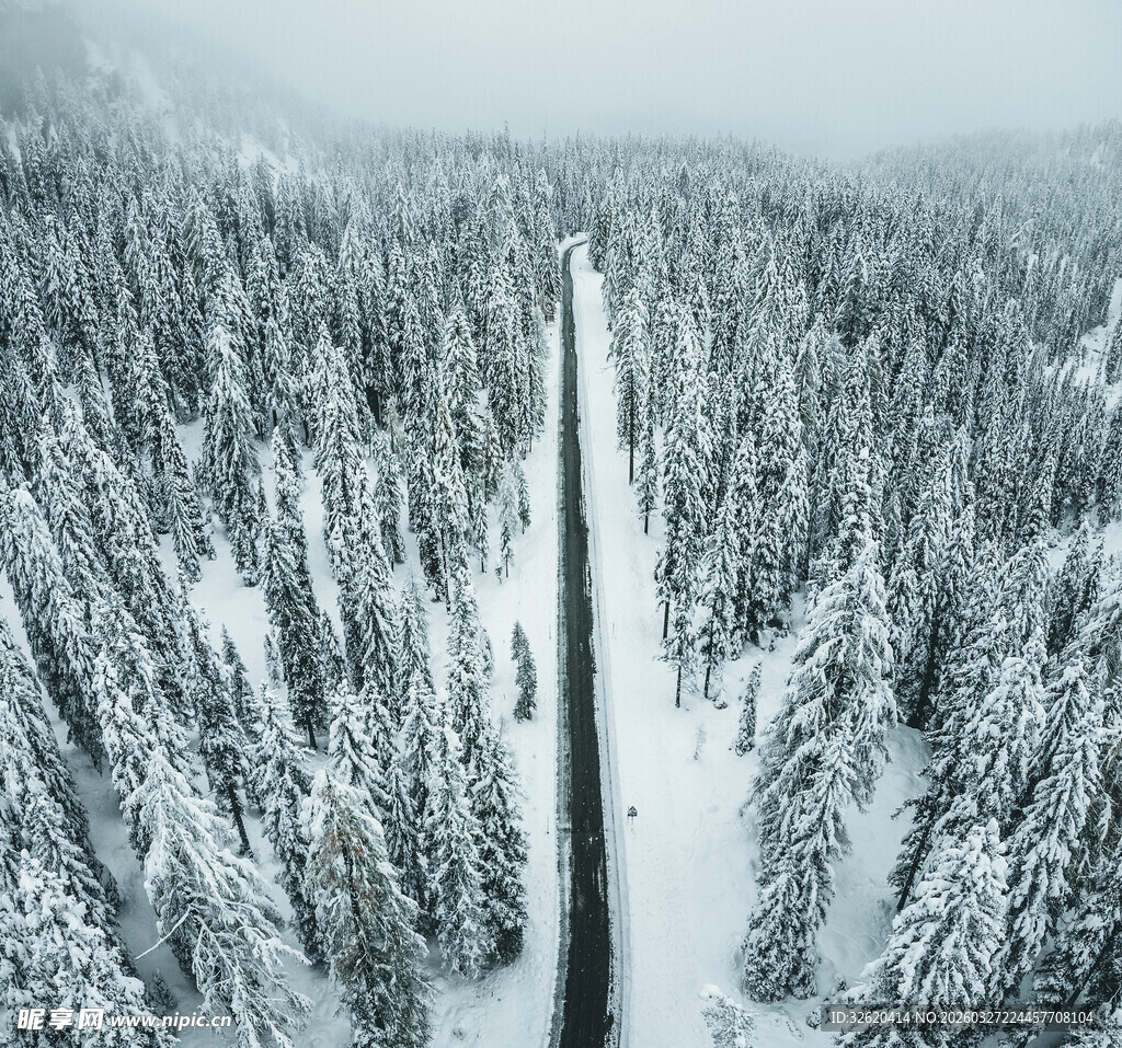 雪覆森林中的蜿蜒道路