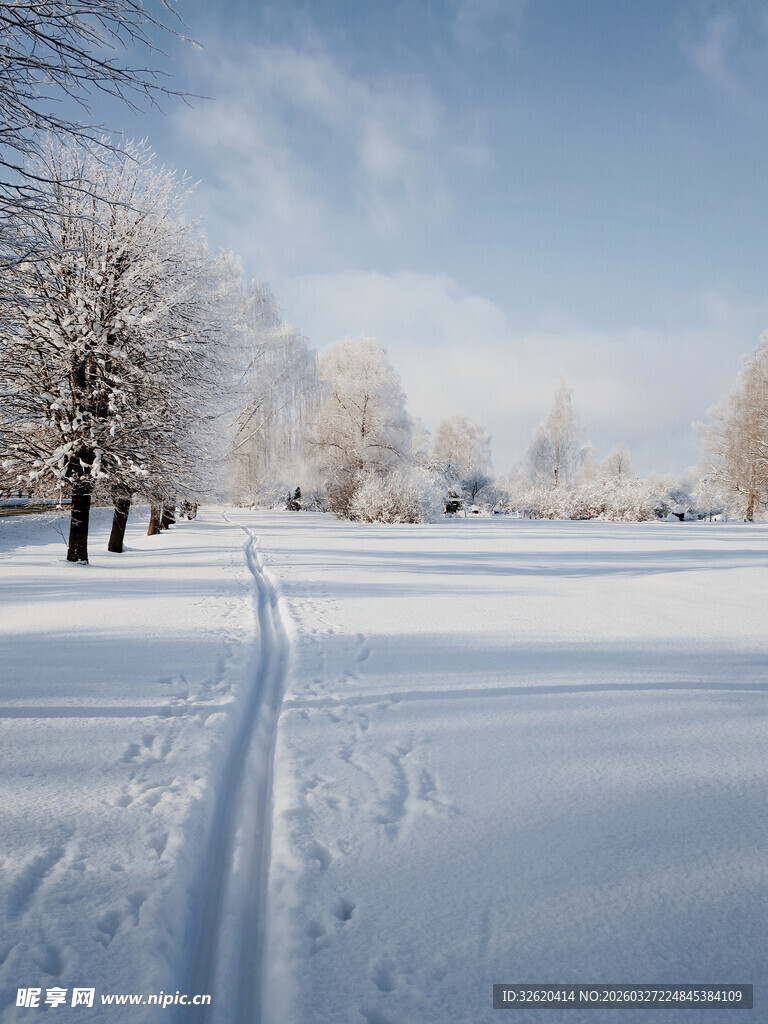 冬日雪野中的滑雪轨迹