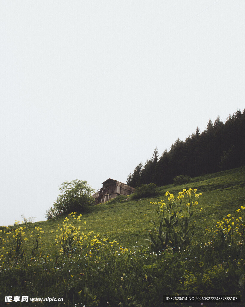 山坡上的田园风景
