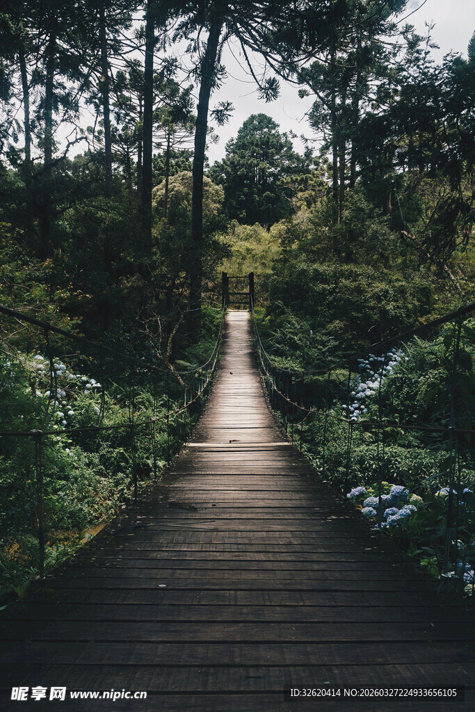 林间木栈道