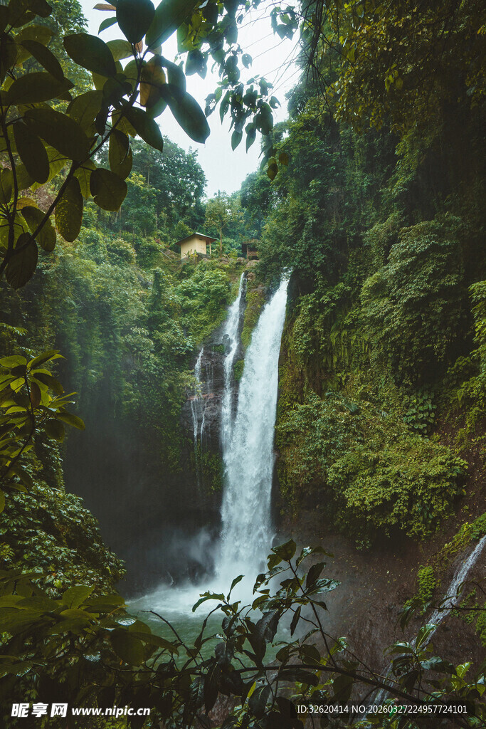 雨林中的美丽瀑布景观