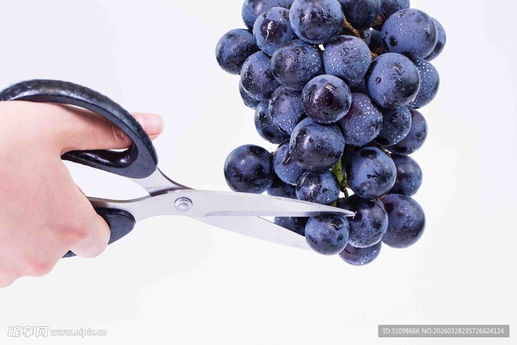 一串紫葡萄
