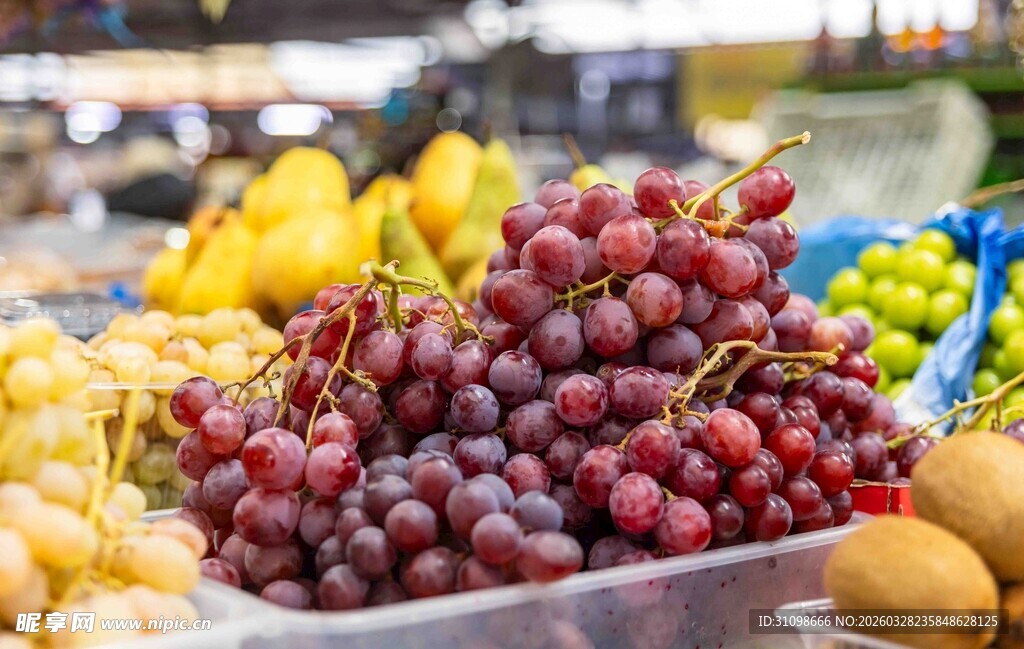 新鲜多样的水果陈列