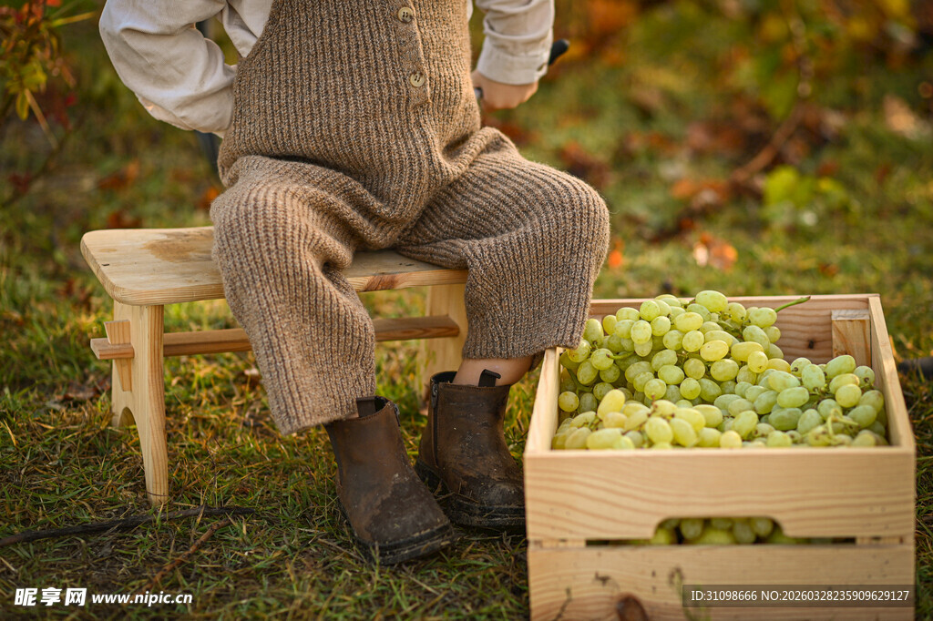 小孩坐凳旁与一箱葡萄