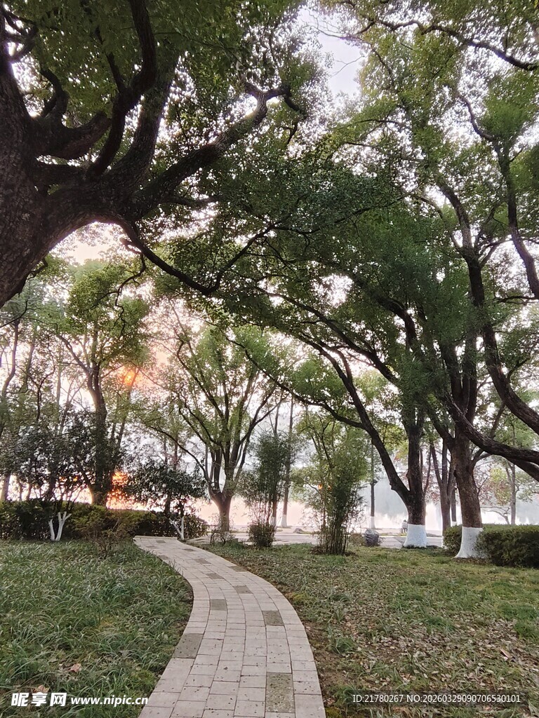林间小径
