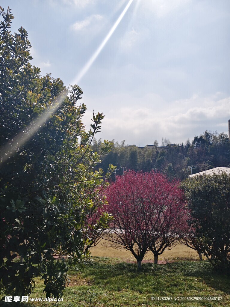 春日园林景致