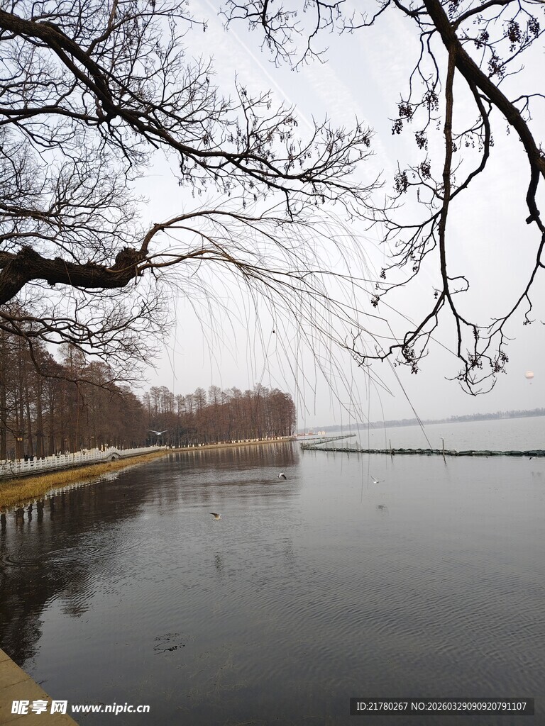 湖畔冬景