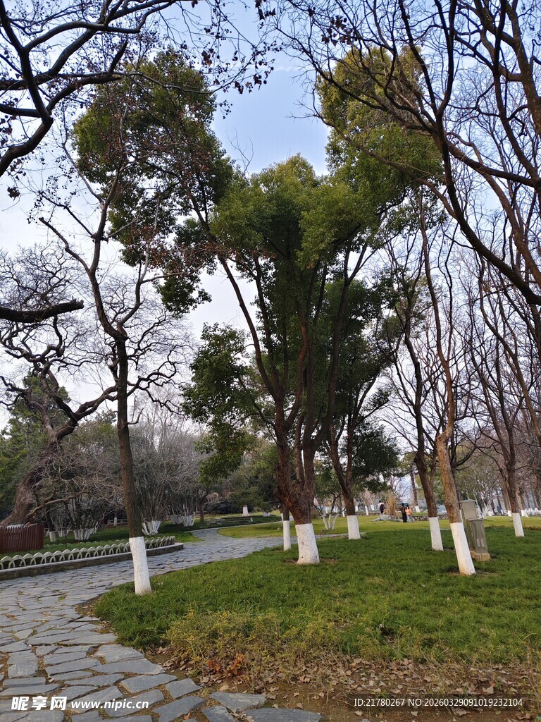 春日公园林间小道景致